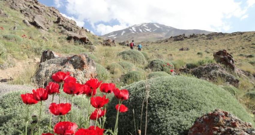 صعود به قله دماوند | صعود به بام ایران